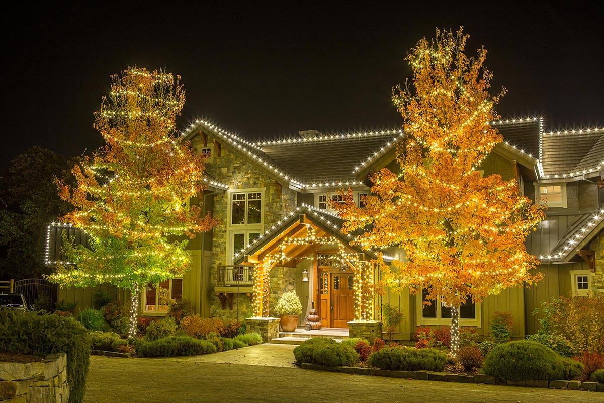 Jacksonville home with decorated trees